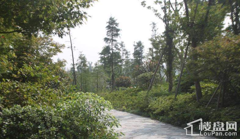 绿地新都会实景图