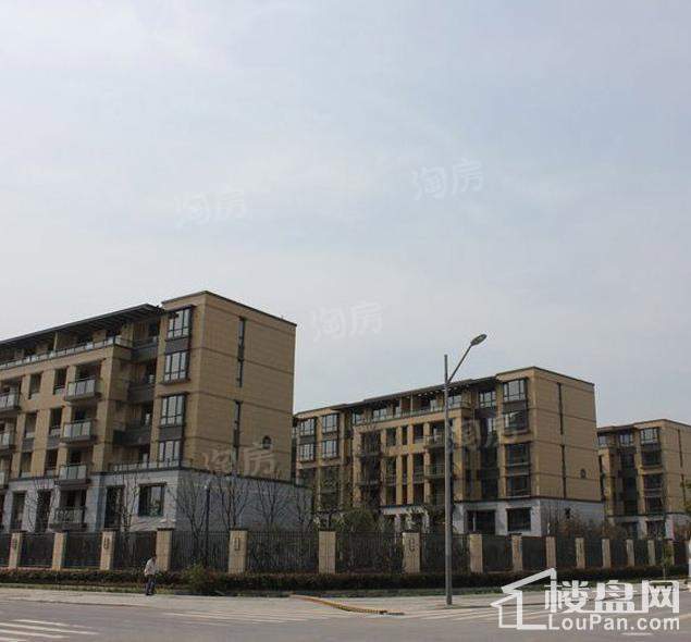 绿地新都会配套图
