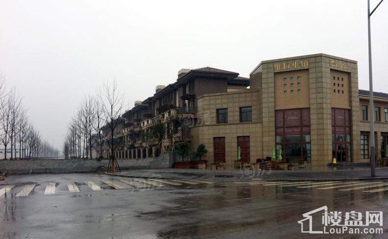 绿地新都会配套图