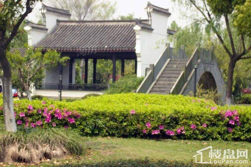 绿地新都会配套图