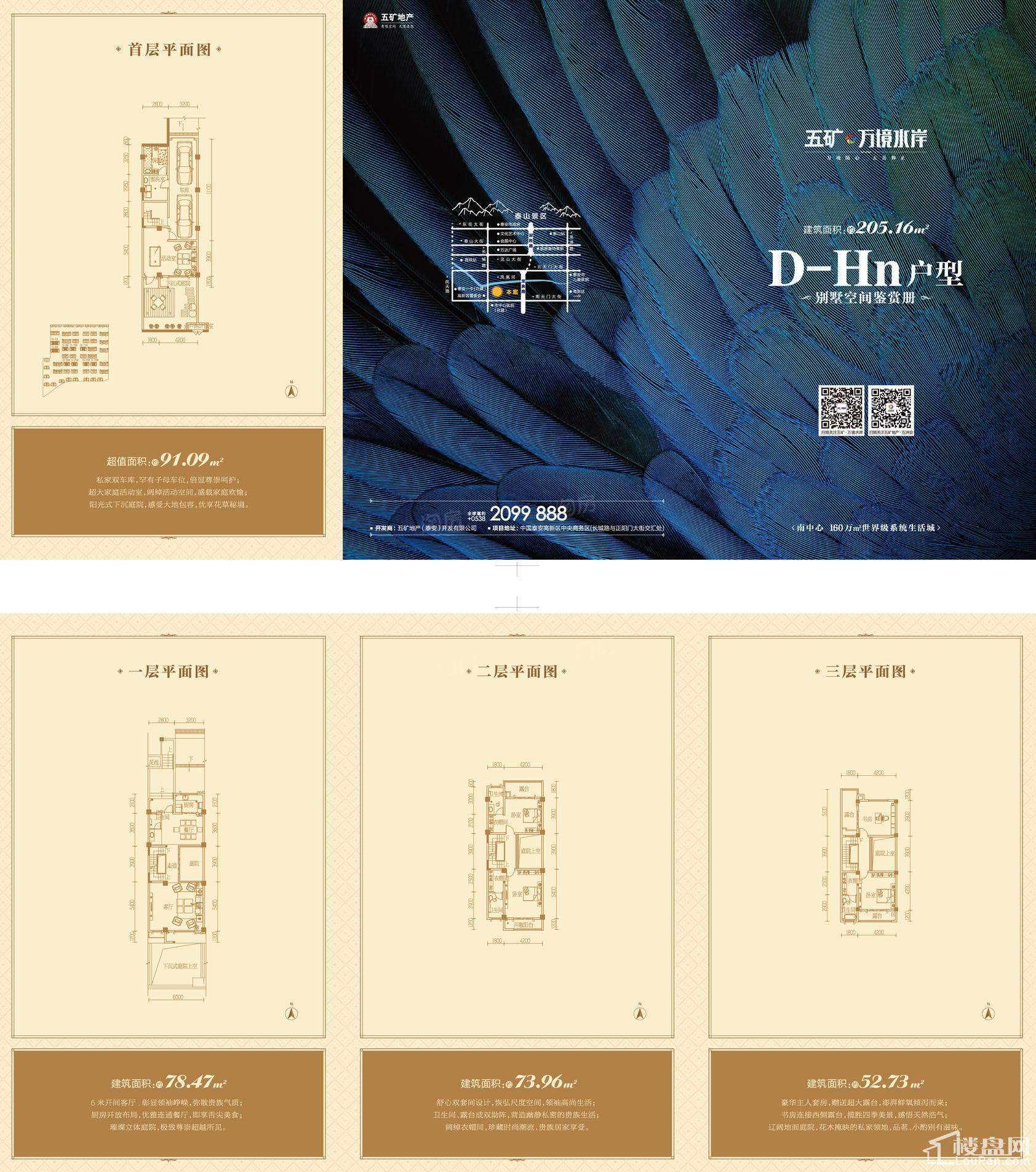 别墅户型D-Hn地上建筑面积205.16+赠送面积91.09