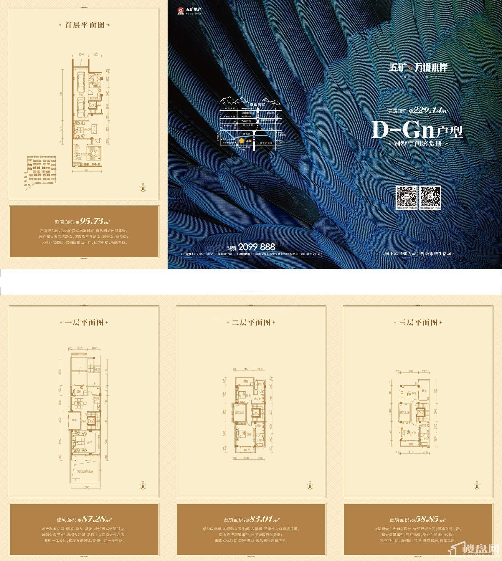 别墅户型D-DG地上建筑面积229.14+赠送面积95.73
