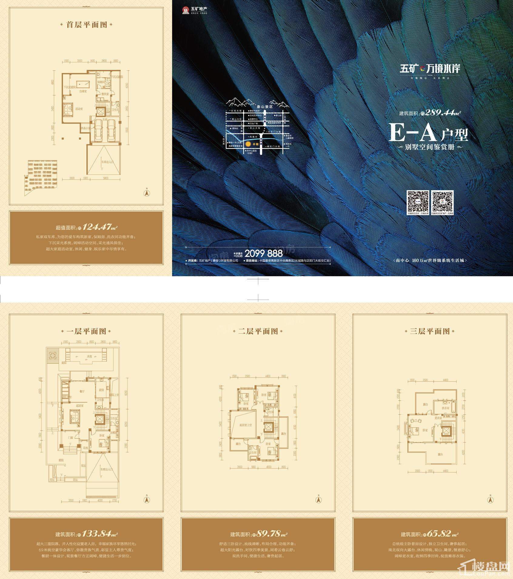 别墅户型E-A地上建筑面积289.44+赠送面积124.47