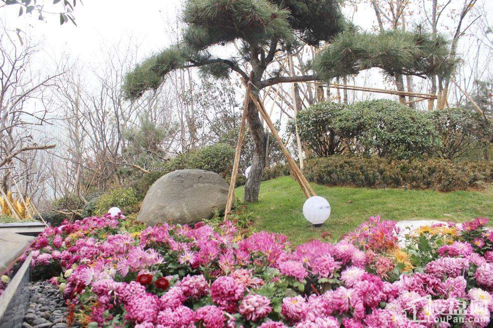 泰安五矿万境水岸三期实景图
