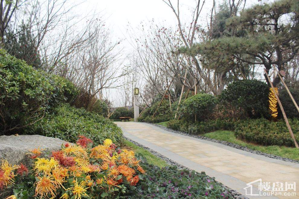 泰安五矿万境水岸三期实景图
