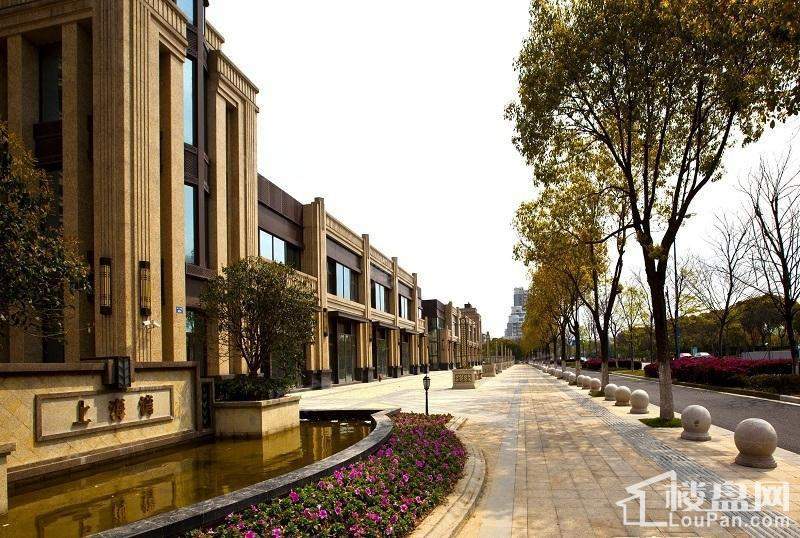 广洋海尚国际实景图