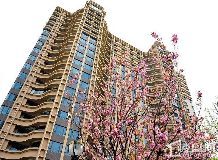 广洋海尚国际实景图