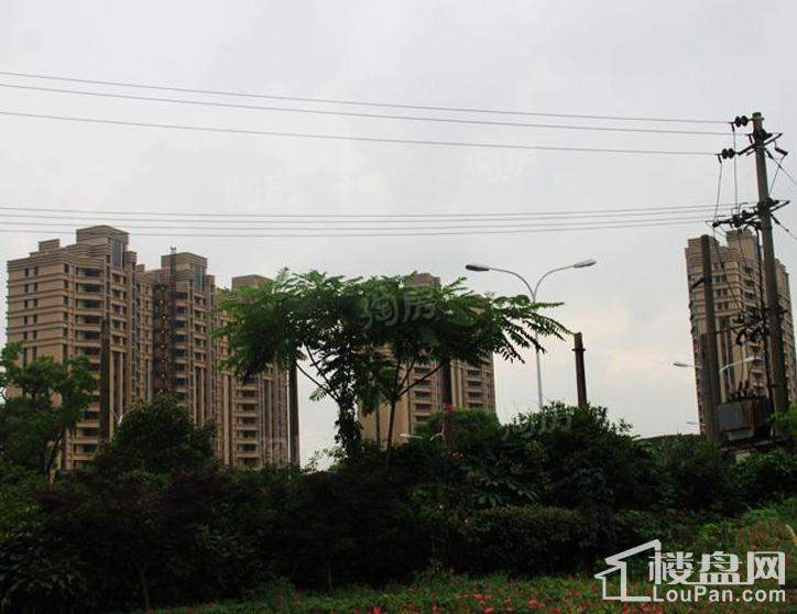 广洋海尚国际实景图