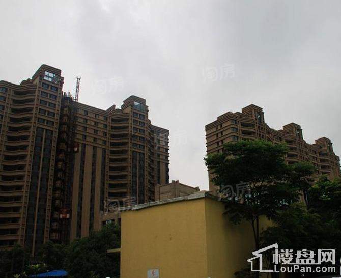 广洋海尚国际实景图