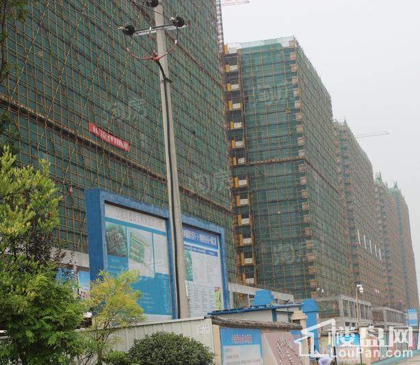 维科馨院实景图