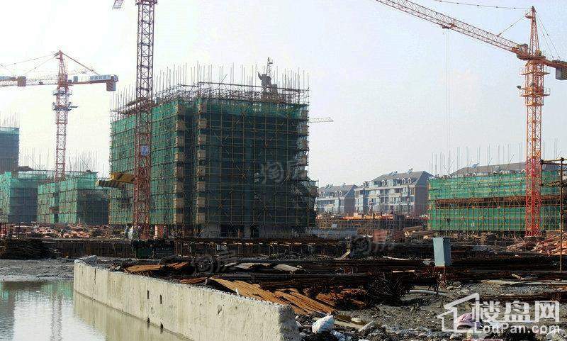 维科馨院实景图