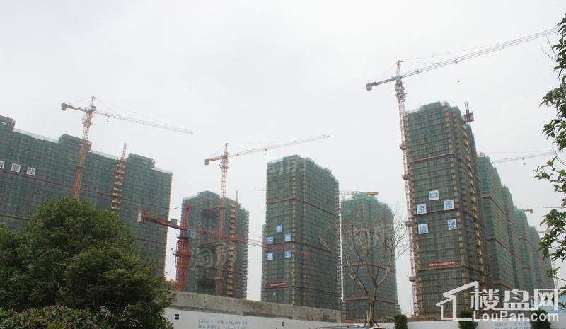 维科馨院实景图
