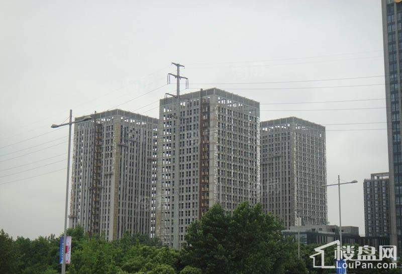 天星·御天下实景图