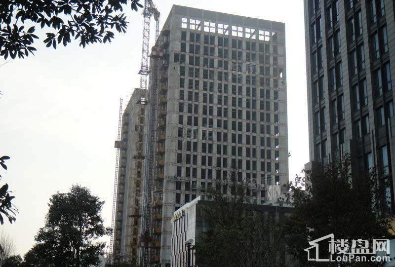 天星·御天下实景图