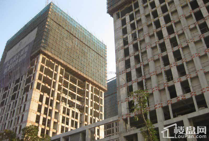 天星·御天下实景图