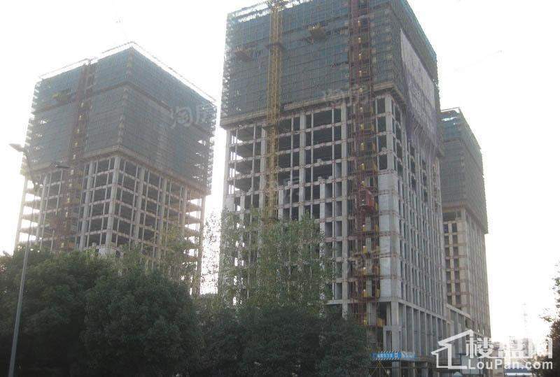天星·御天下实景图