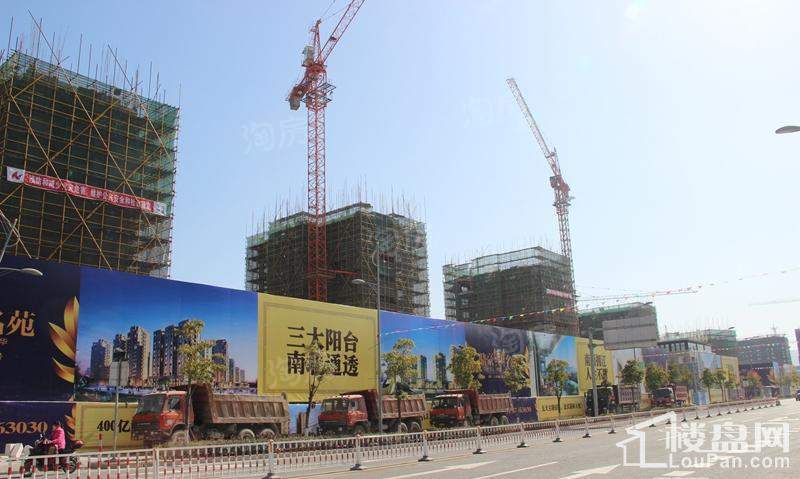 鼎豪名苑实景图