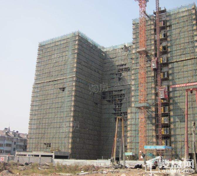 糖果实景图