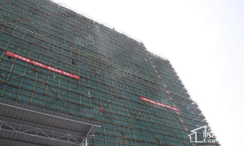 糖果实景图