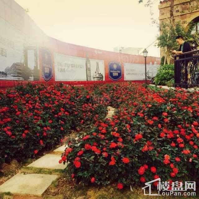 中房翡翠湾实景图