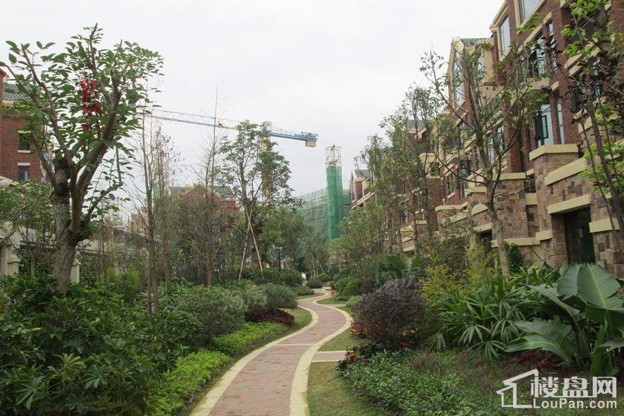 中房翡翠湾实景图