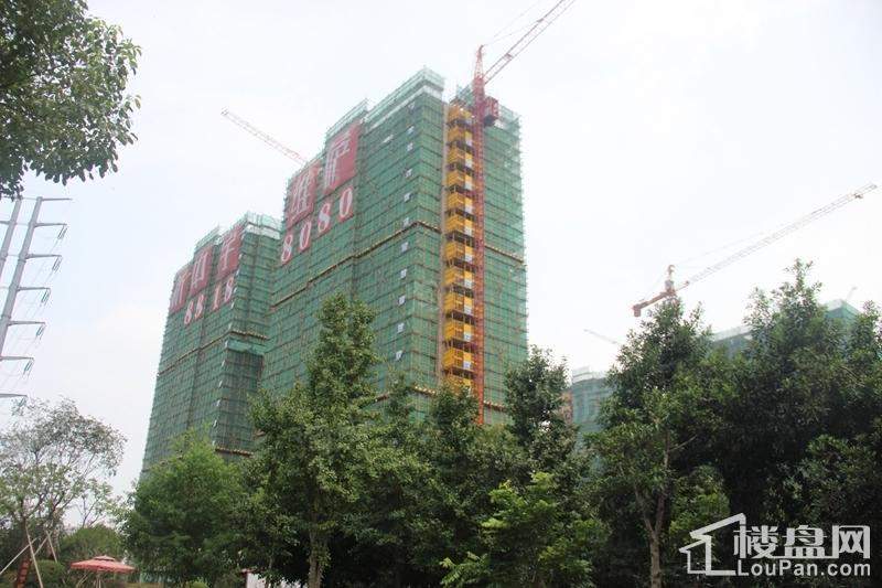 新中宇维萨公馆实景图