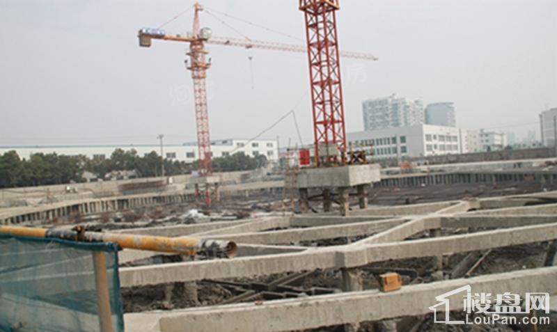 香悦花苑实景图