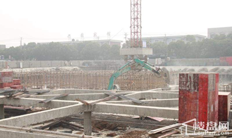 香悦花苑实景图