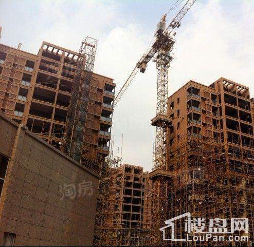 广博阳光丽园实景图
