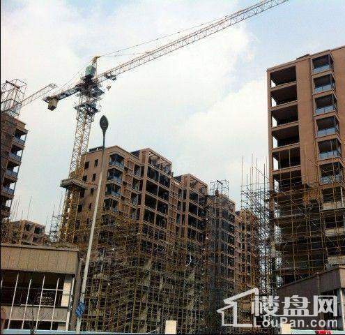 广博阳光丽园实景图