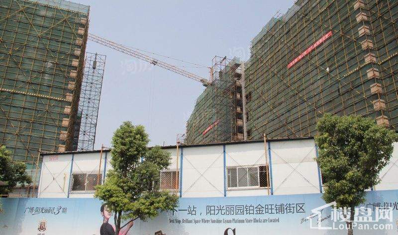 实景图