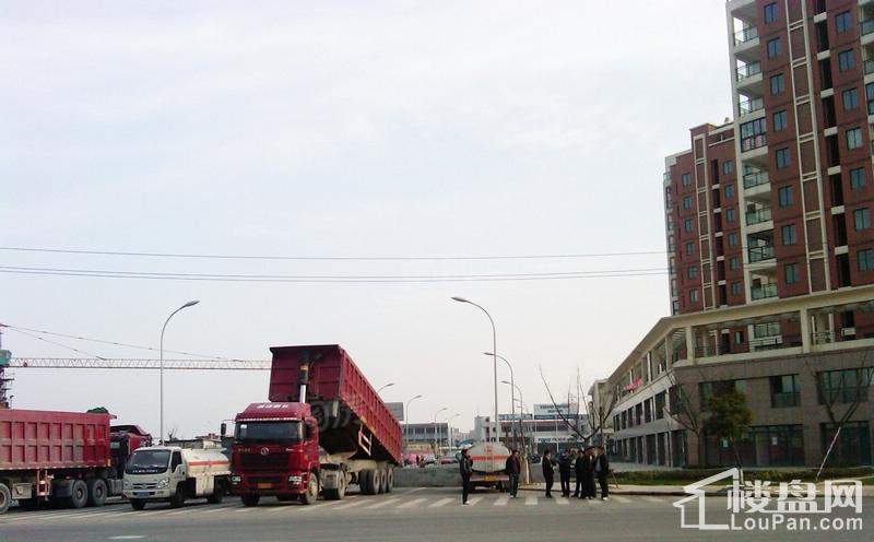 广博阳光丽园实景图
