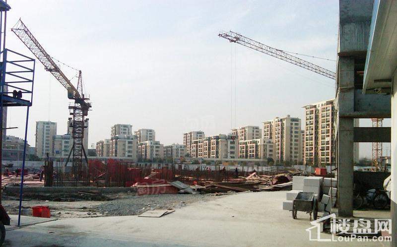 广博阳光丽园实景图
