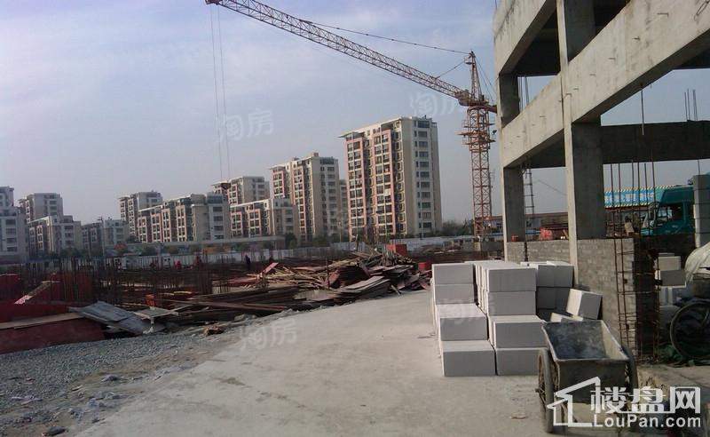 广博阳光丽园实景图