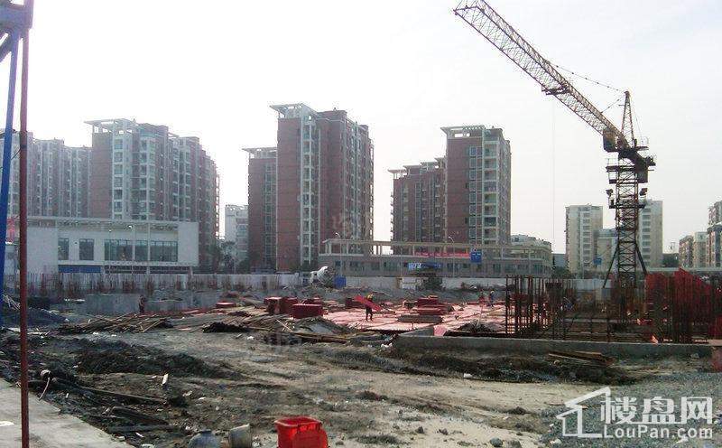 广博阳光丽园实景图