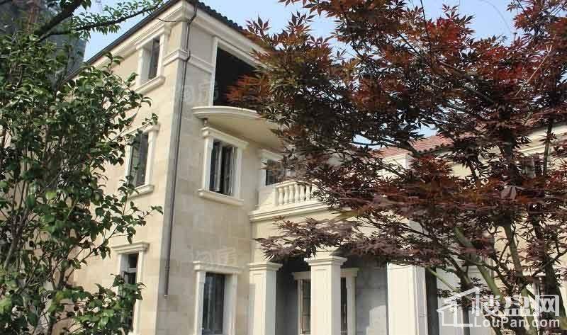 东半岛江山99实景图