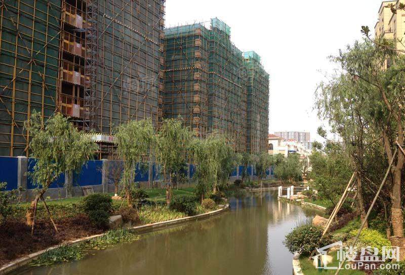 青林湾七期实景图