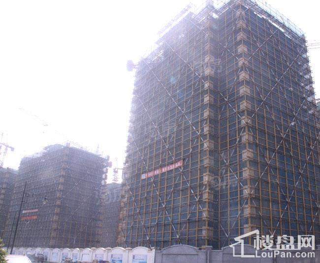 青林湾七期实景图