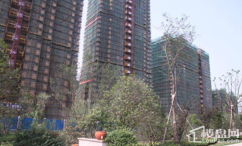 青林湾七期实景图