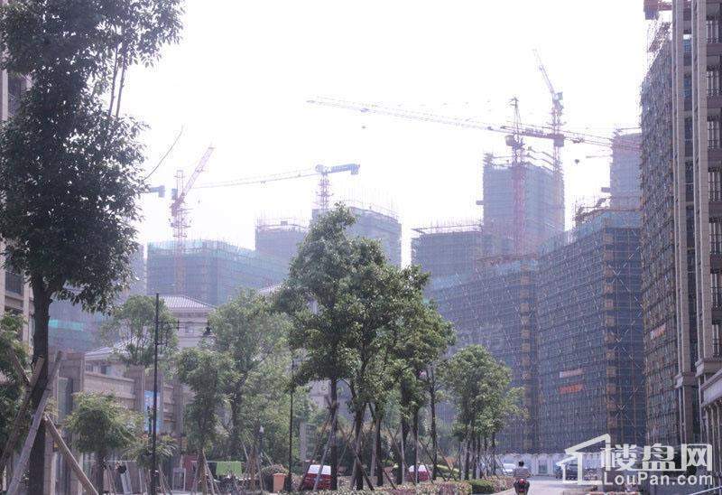 青林湾七期实景图