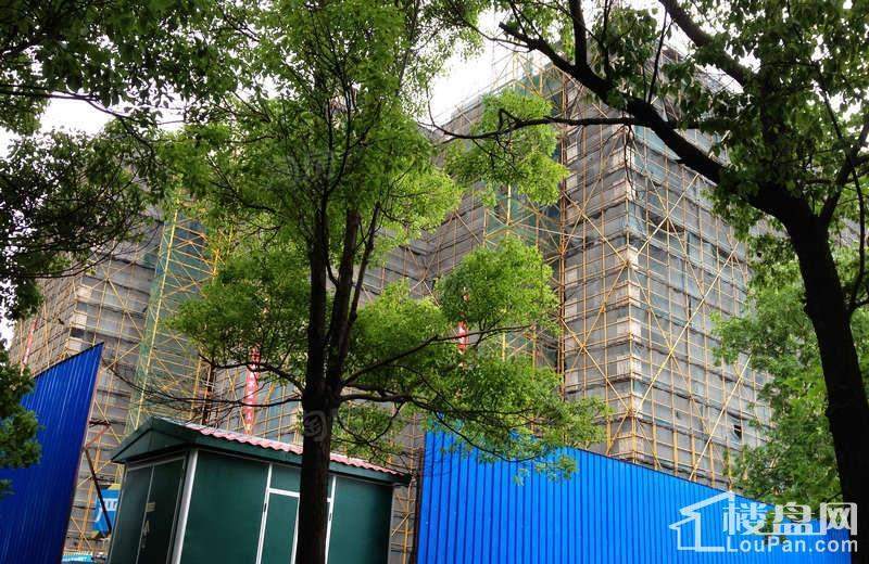 信达中建黉河街27院实景图