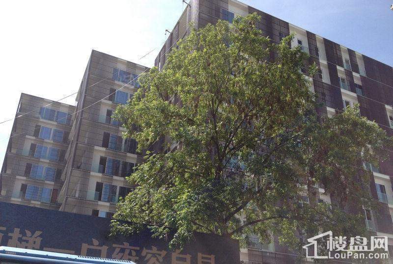信达中建黉河街27院实景图