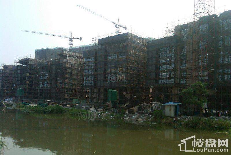 实景图