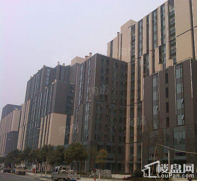 金达利21码头实景图