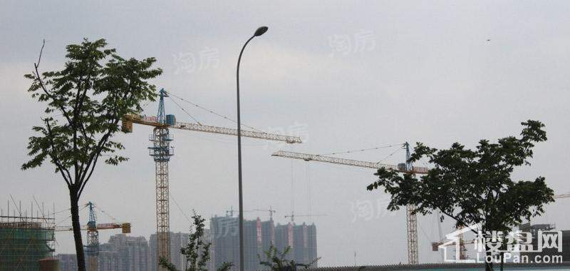 姚江一号实景图
