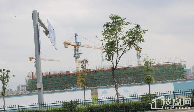 姚江一号实景图