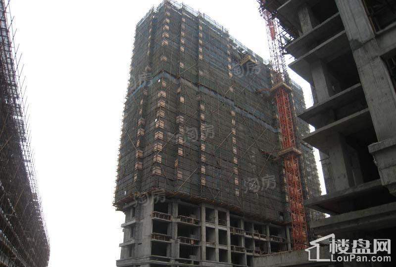 实景图