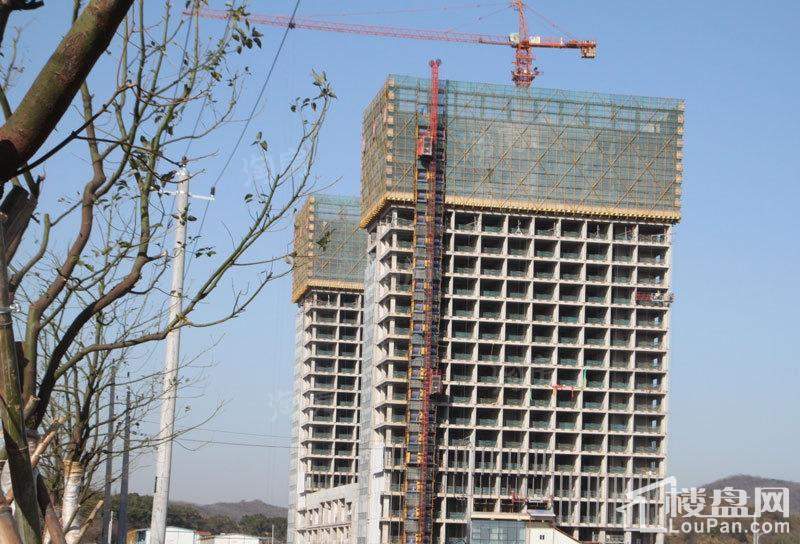 领豪鑫座实景图