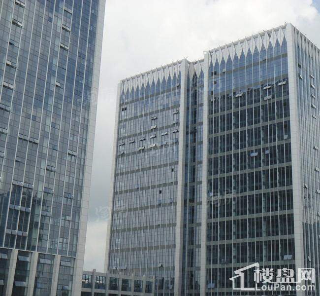 领豪鑫座实景图