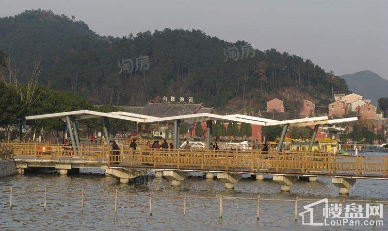 东钱悦配套图